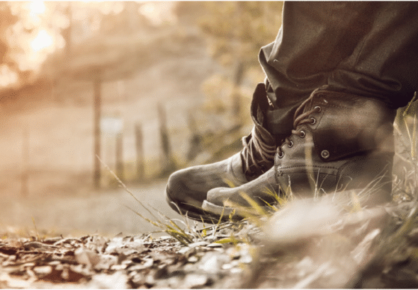 Woodland